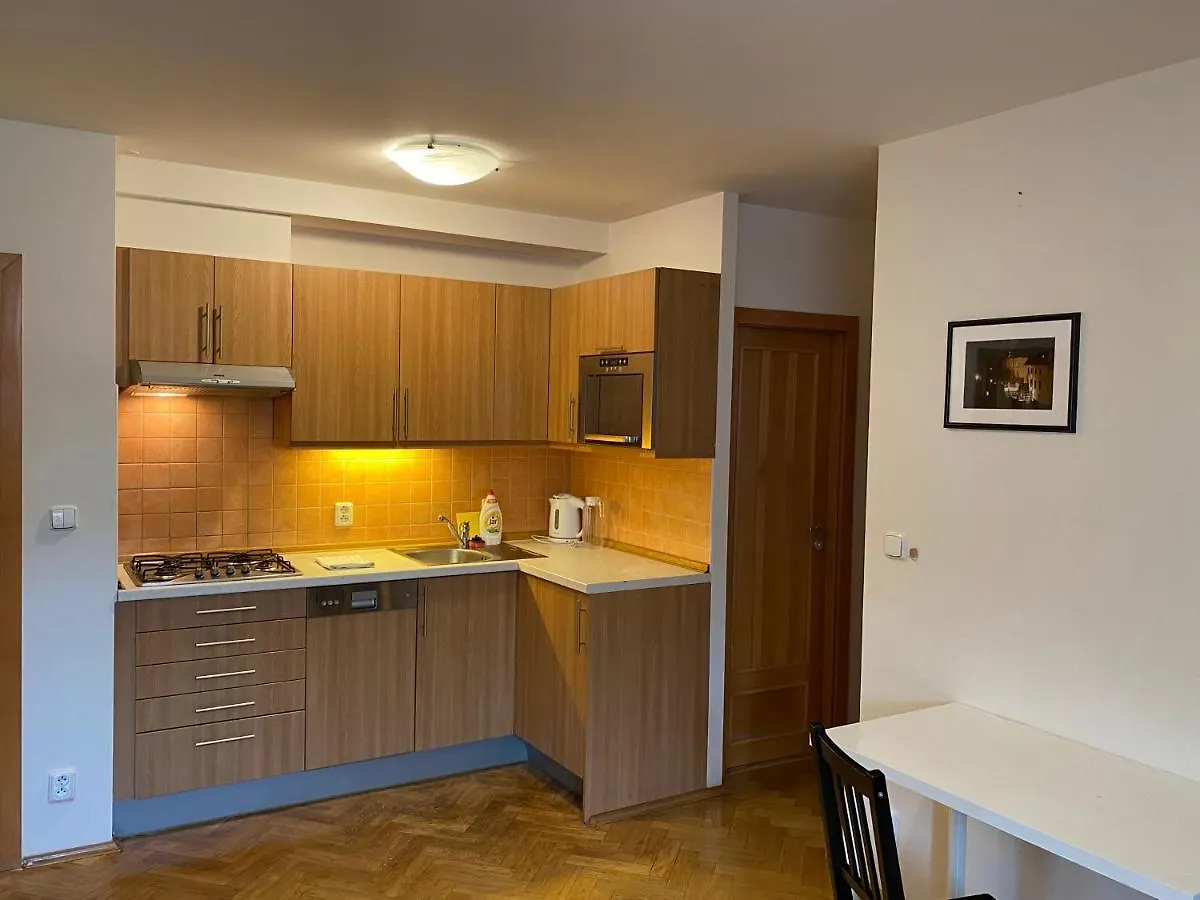 Beautiful Apartment Near Florenc Area Of Prague